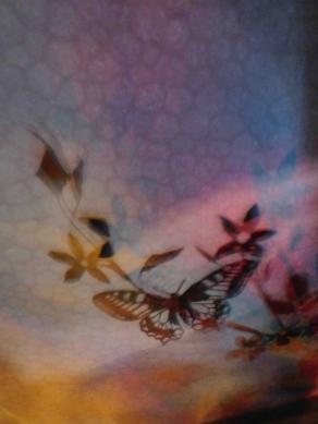 I COLORI DELLA BIODIVERSITÀ 