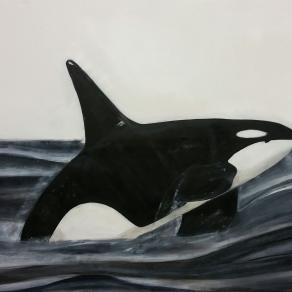 Orca - bianco nero