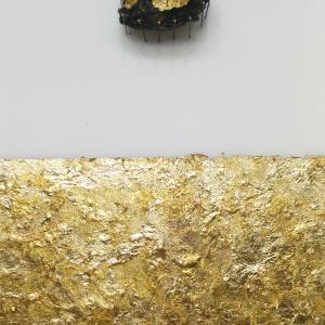 Lo spazio della metamorfosi Lo spazio della metamorfosi