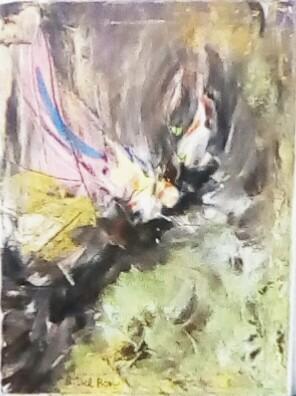 Tucano dell' amazzonia