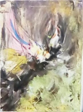 Tucano dell' amazzonia