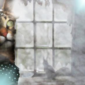 Guarderò attraverso la finestra dei tuoi occhi per vedere te...!!!