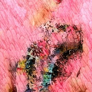 Dissolvenza in rosa 2 (particolare)