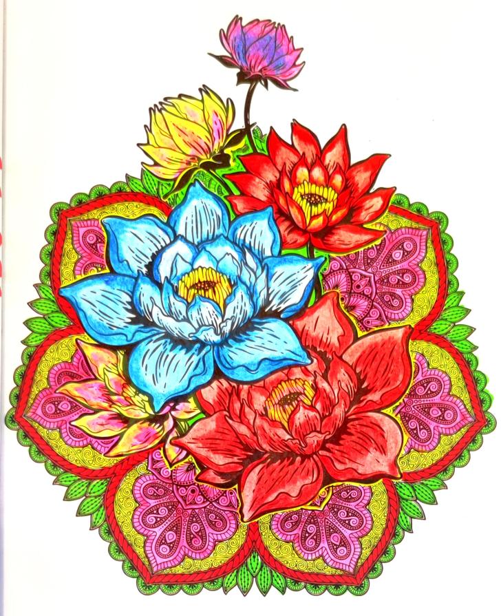 Il Talento è una Scintilla...!!! Il Talento è una Scintilla...!!!