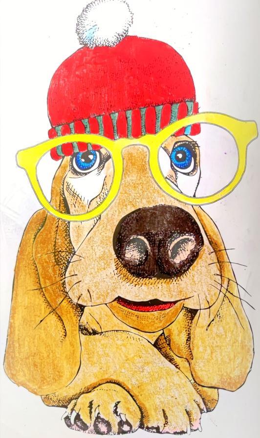 .......No non sono un cane.... sono un'esperienza....!!!!