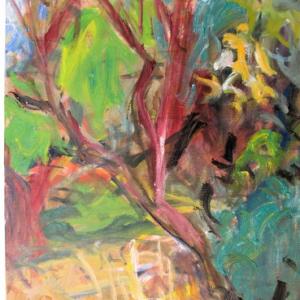 Dialogo con la Natura- oltre i 16:9