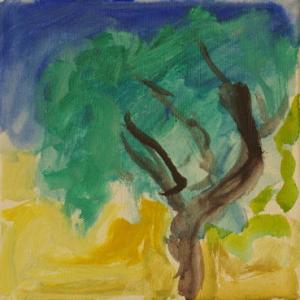 Dialogo con la Natura- oltre i 16:9