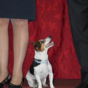 Naming ceremony of the Aula Magna to the master Ghumbert di Cattolica