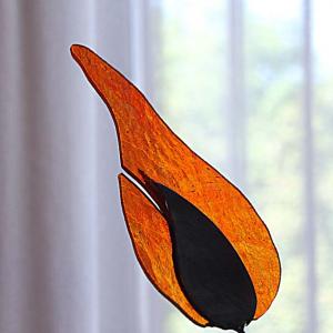 Natura:Luci e Ombre a Modena.