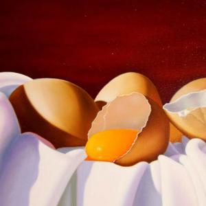 Natura:Luci e Ombre a Modena.