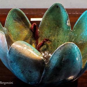 FIORI IN VILLA al CLUB MERIDIANA DI MODENA