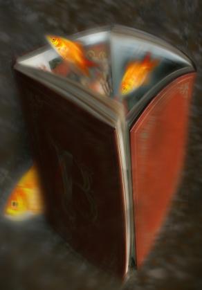 c'è chi entra e chi esce.