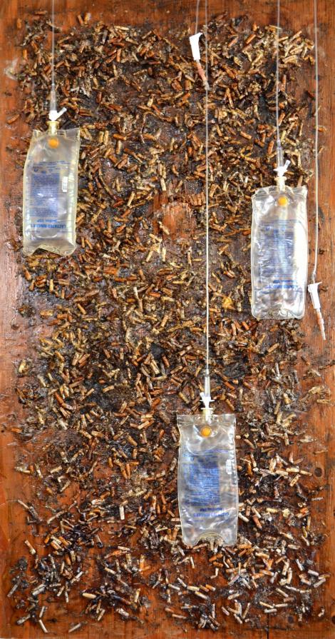 Joys of Summer Joys of Summer