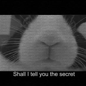 Shall I tell you the secret
