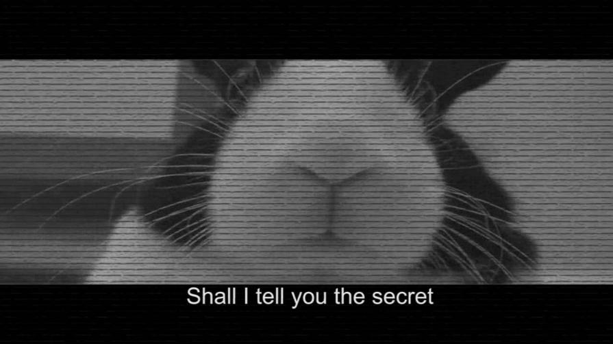 Shall I tell you the secret