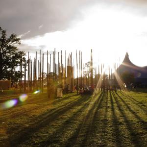 Meitheal Adhmaid | Woodcollective