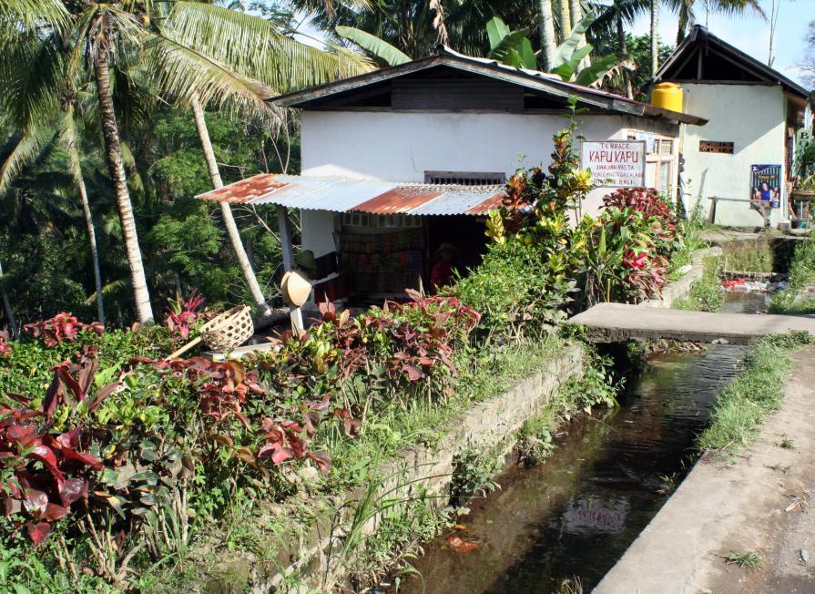 Attraversando l'acqua