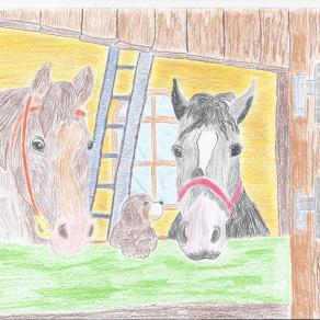 horses in the stable