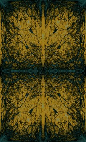 Double Images: Soul Gate