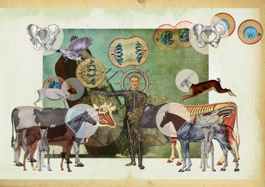 L'Arca di Noè L'Arca di Noè