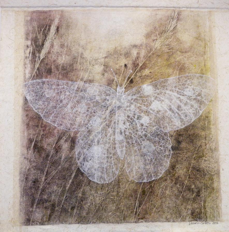 Grande farfalla n. 3