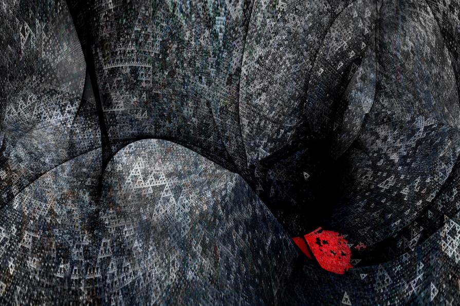 Solo ma mai abbandonato 