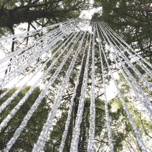 Songs from the Sky (detail)