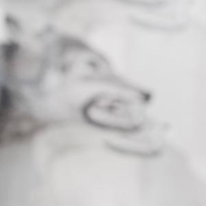 Träume sind Schäume Träume sind Schäume