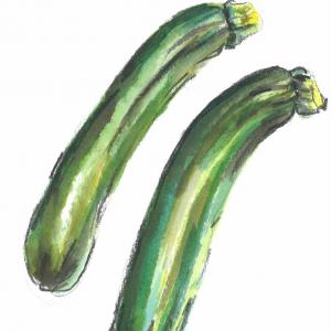 Der Kunstmarkt / Zucchini /1,04€