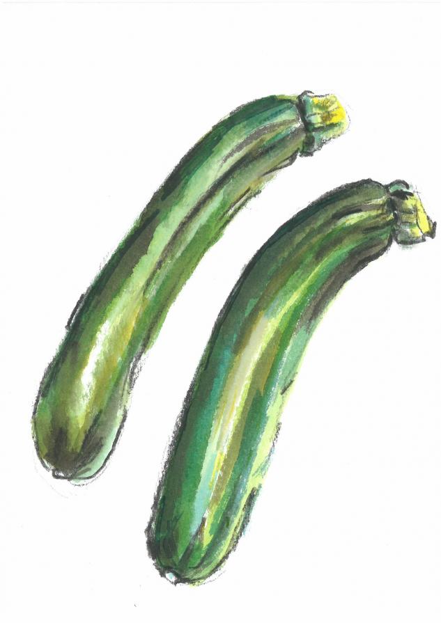 Der Kunstmarkt / Zucchini /1,04€