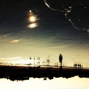 l' isola dei conigli /the island of rabbits l' isola dei conigli /the island of rabbits