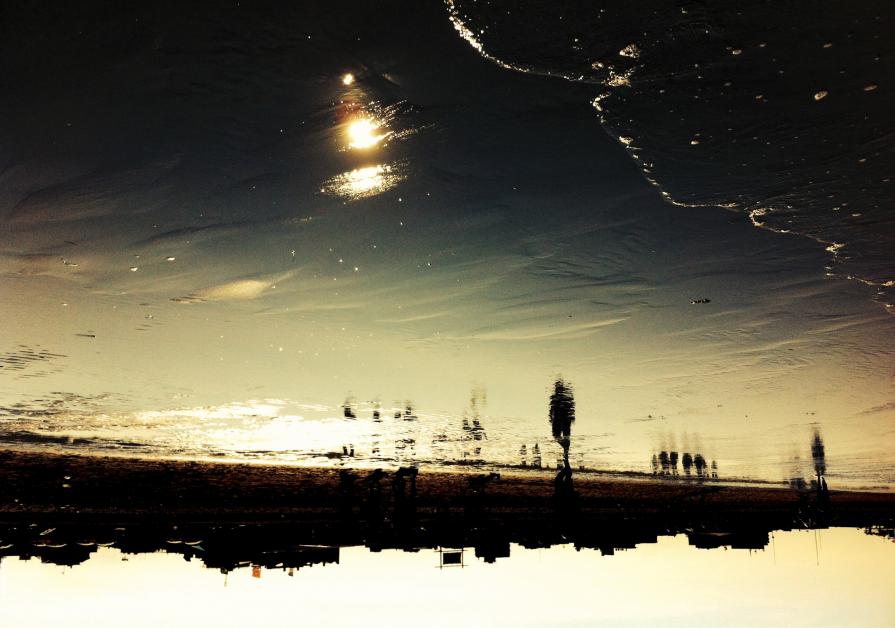 l' isola dei conigli /the island of rabbits