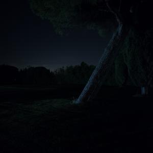 A Sky Full Of Stars For A Roof