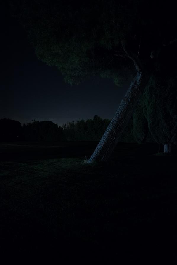 A Sky Full Of Stars For A Roof