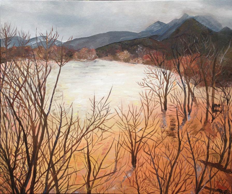 Fiume Arno in piena - veduta dal ponte di Zambra (Pi)