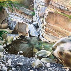 origine ed evoluzione 