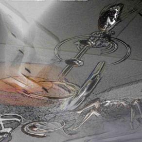 Last summer at hot days   -  الصيف الماضي خلال ايام حارة