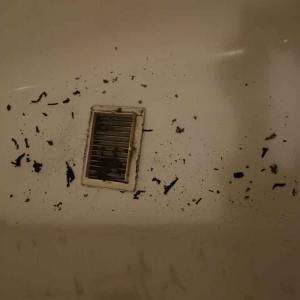 falscher bilder von judlobby - sie wollen mich verbieten zu malen- 