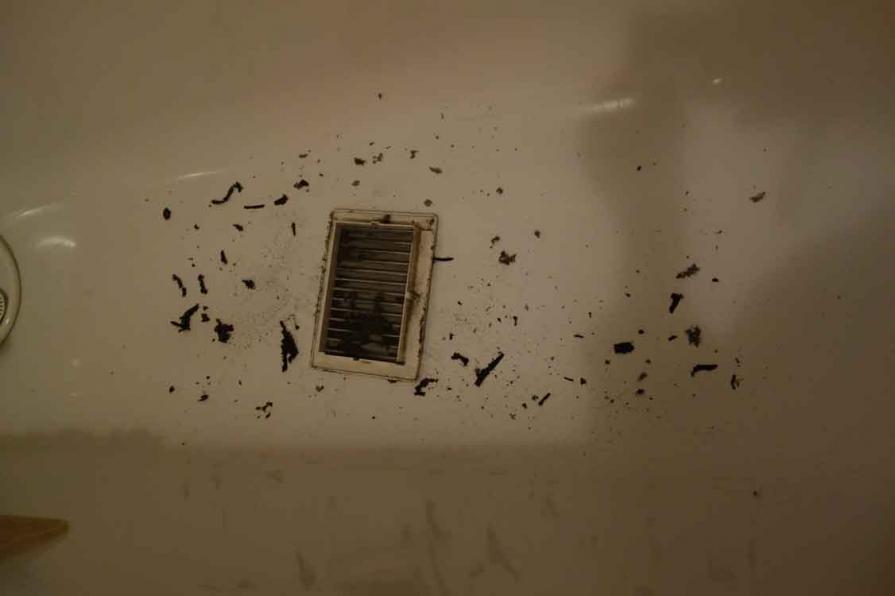 falscher bilder von judlobby - sie wollen mich verbieten zu malen- 