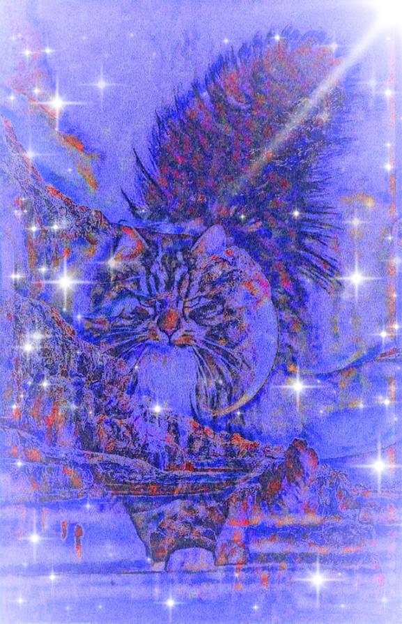 ... L'universo intero danza nei suoi occhi stellati !!!