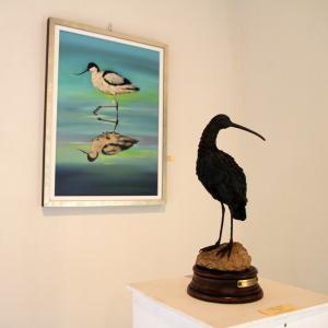 Altra Natura a Revere (mn)