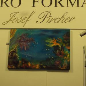 ESPOSIZIONE opere presso PIRCHER (RE)