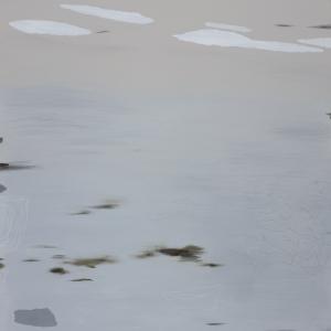 Desert - The Last Remaining Snow