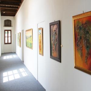 BARBARA GHISI AL PALAZZO DUCALE DI REVERE, DAL 17 MAGGIO AL 4 GIUGNO