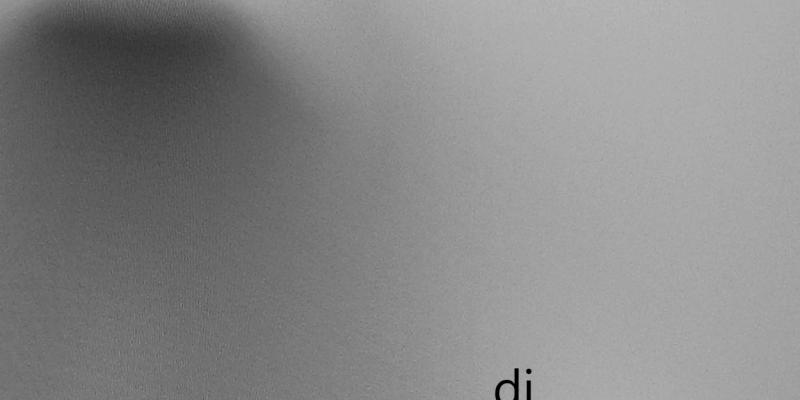 "DENTRO E'FUORI: il limite dell'immagine"