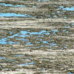 Argentina. Patagonia