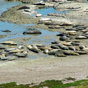 Argentina. Patagonia