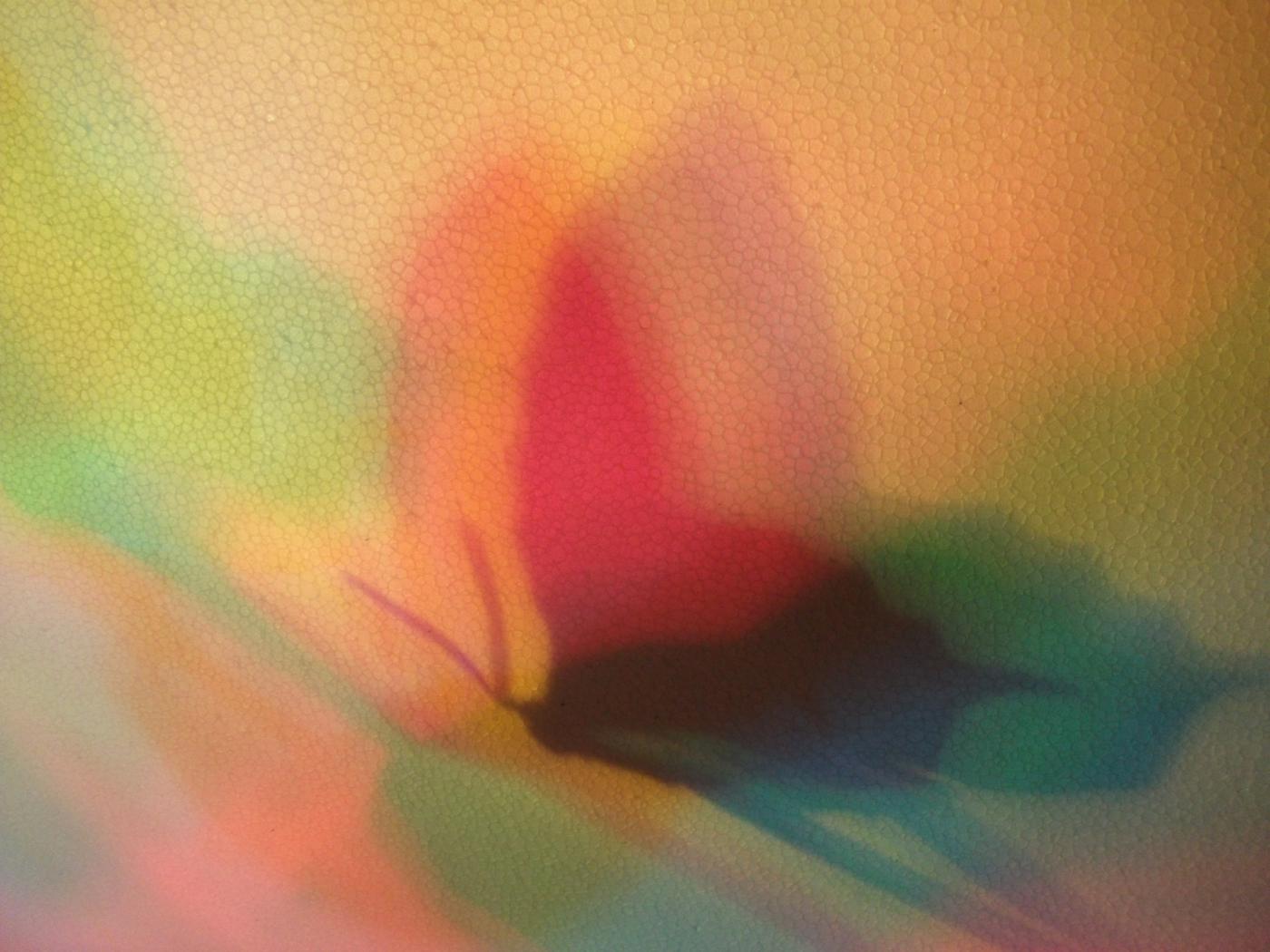 SaturArte 2016. 21° concorso nazionale d'arte contemporanea