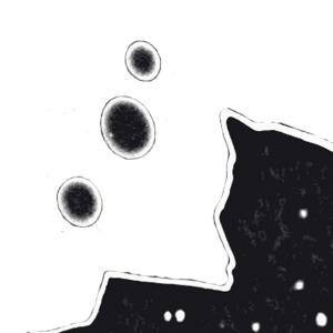 Colori, Materie, Segni