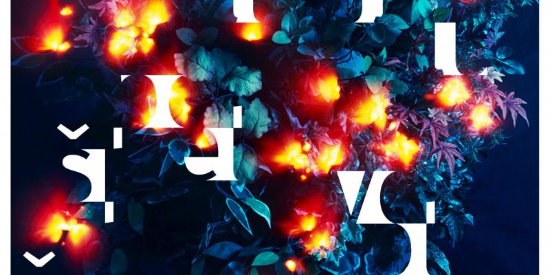 Špela Volčič: ET FIAT LUX Špela Volčič: ET FIAT LUX